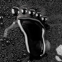 ¿Sabes lo que son las “carreras líquidas”? Entérate si es tu carrera líquida